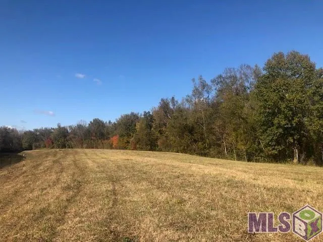 $350,000 | 1093 Poydras Bayou Drive, Port Allen, LA 70767