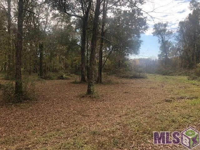 $350,000 | 1093 Poydras Bayou Drive, Port Allen, LA 70767