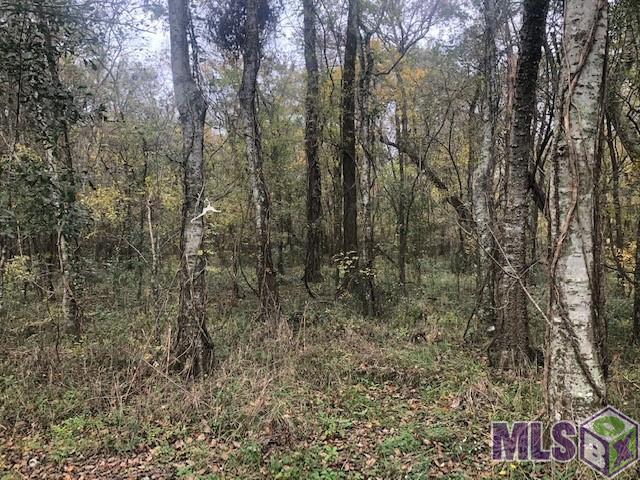 1093 Poydras Bayou Drive Port Allen, LA 70767 - Photo 10 of 11