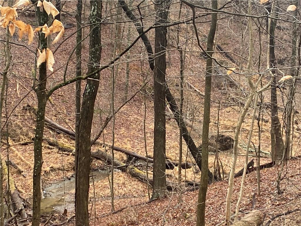 - Old Ramsey Road Monroeville, PA 15146 - Photo 7 of 8 Lower border with stream