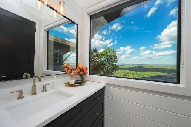 a bathroom with a sink and a large mirror next to a yard