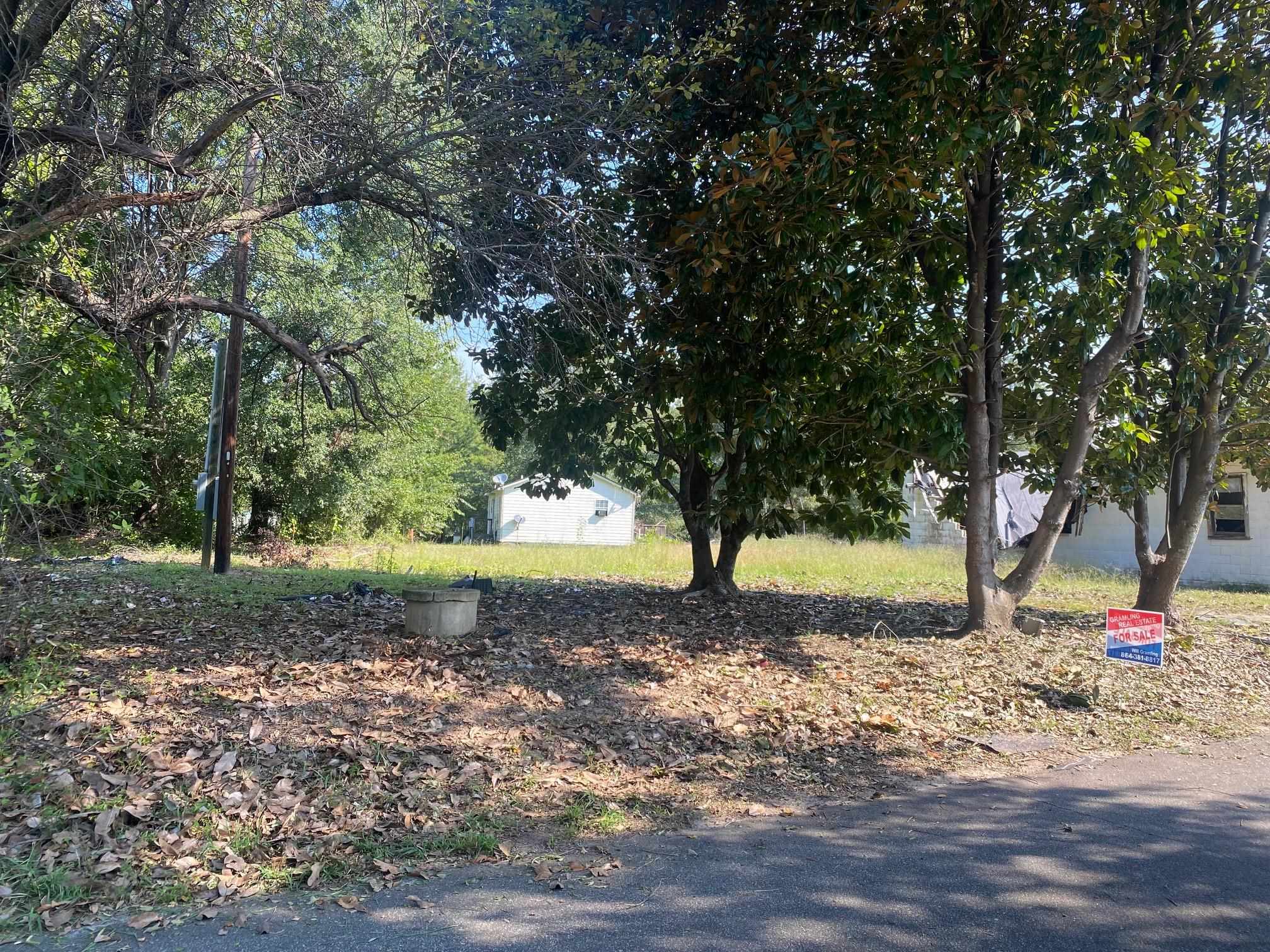 198 Hamline Road Campobello, SC 29322 - Photo 5 of 8