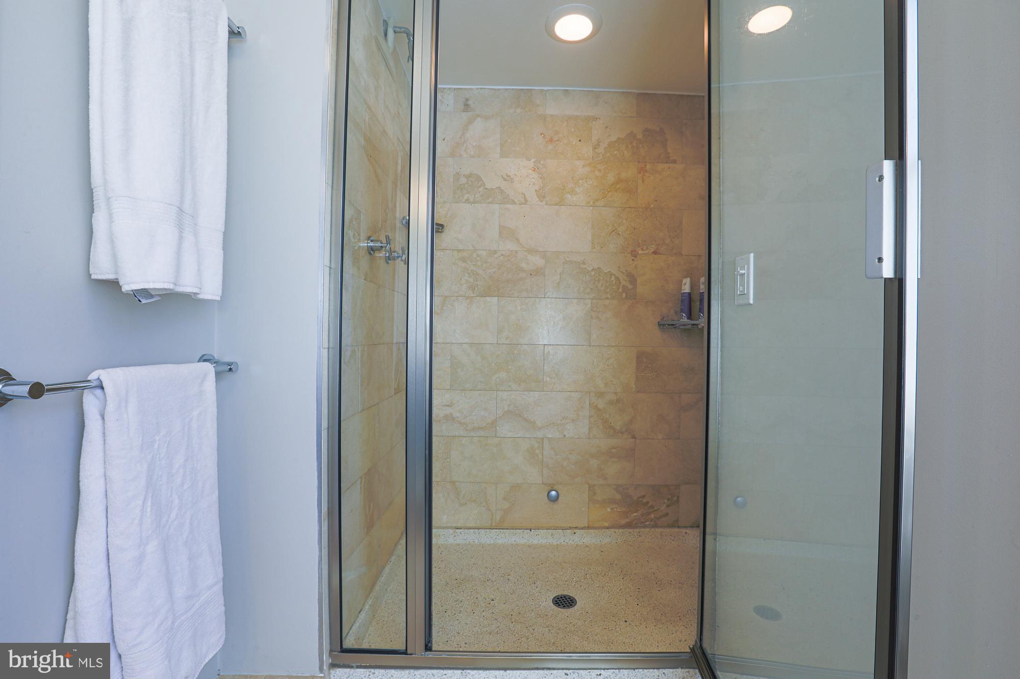 101 Woodlawn Road Baltimore, MD 21210 - Photo 46 of 92 Primary bathroom with steam shower