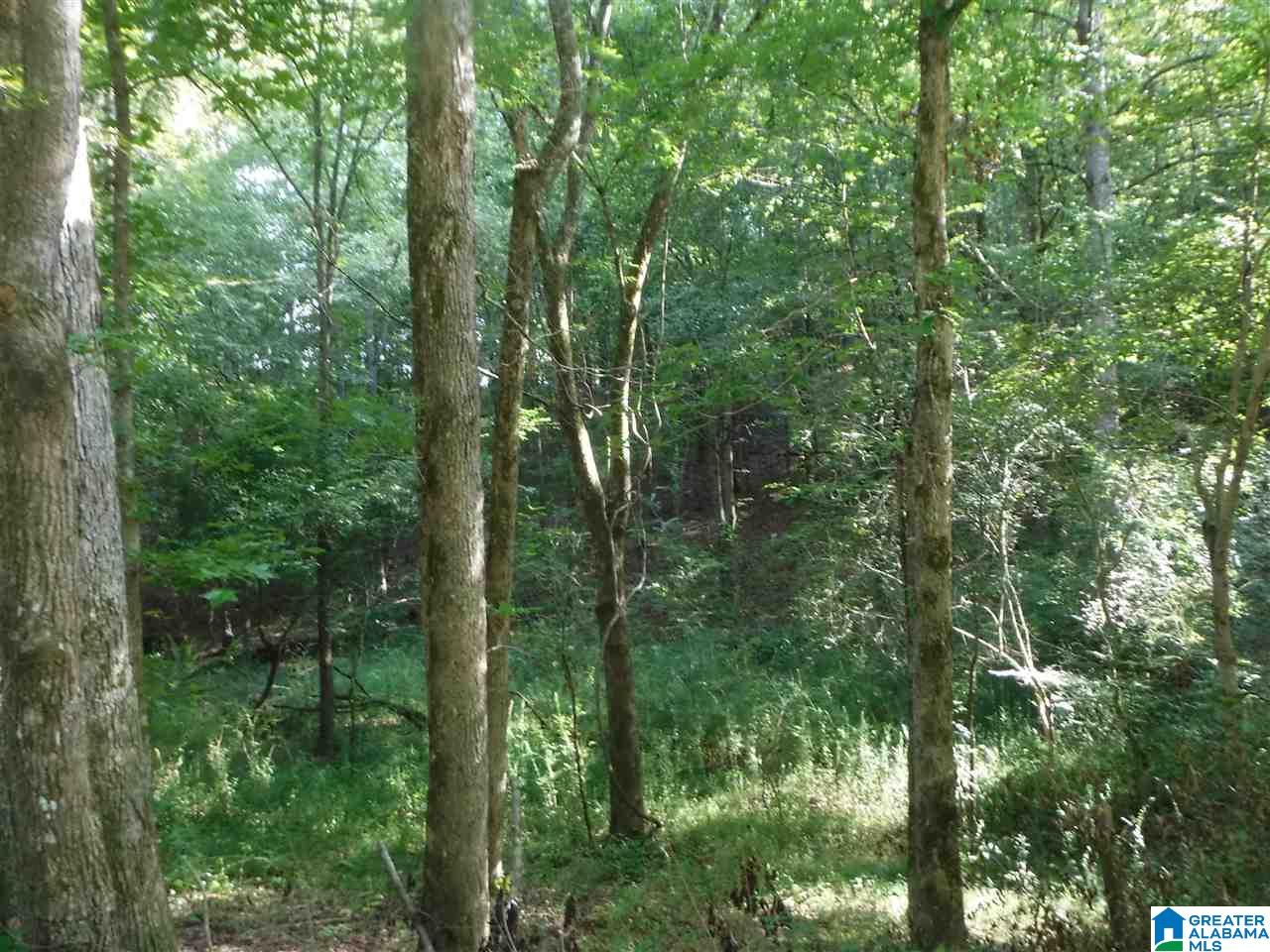 205 Venable Road Odenville, AL 35120 - Photo 10 of 11