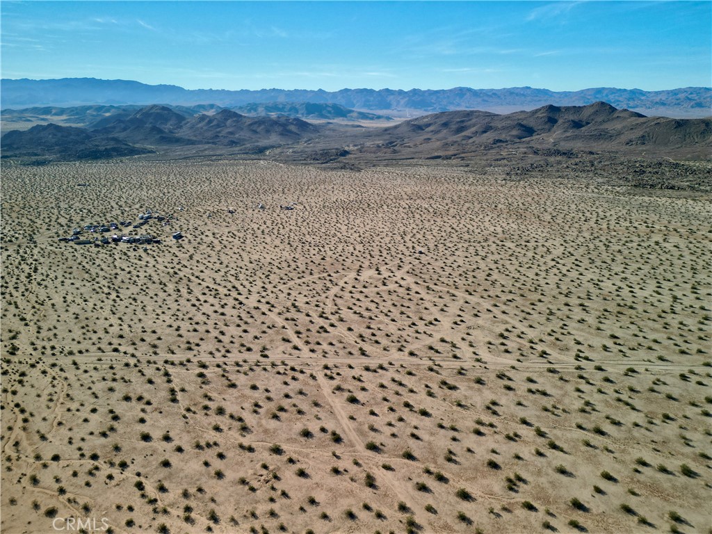 63305 Rainier Road Joshua Tree, CA 92252 - Photo 17 of 20 a view of a bunch of trees and mountain