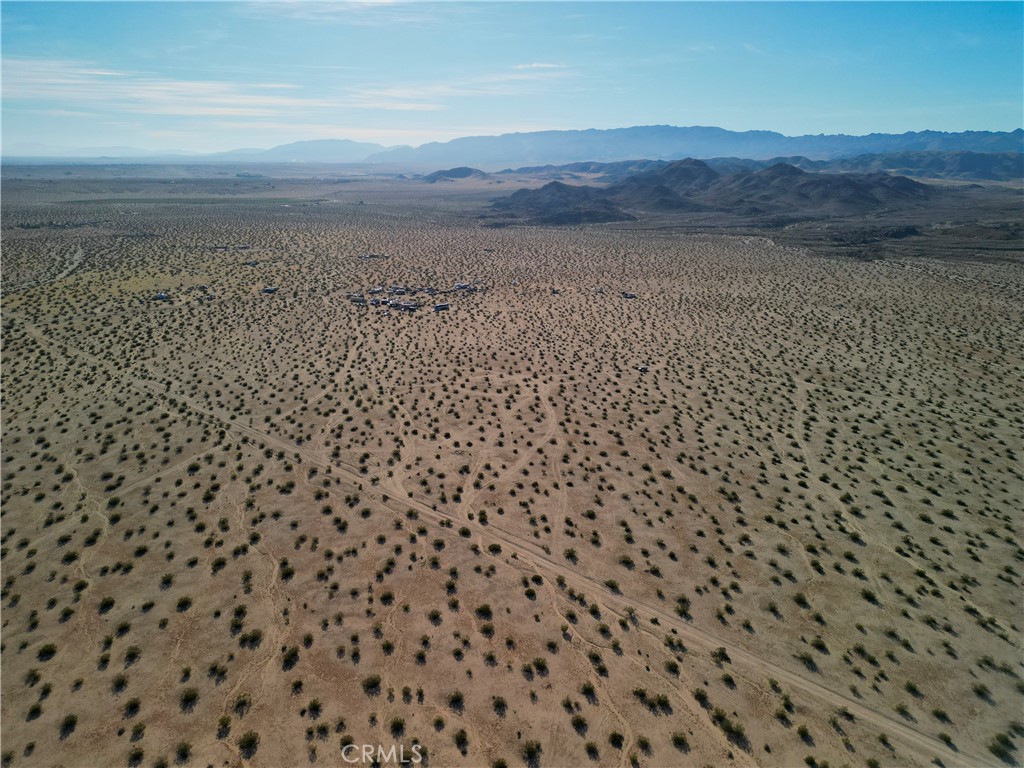 63305 Rainier Road Joshua Tree, CA 92252 - Photo 18 of 20 a view of a bunch of trees and in a field