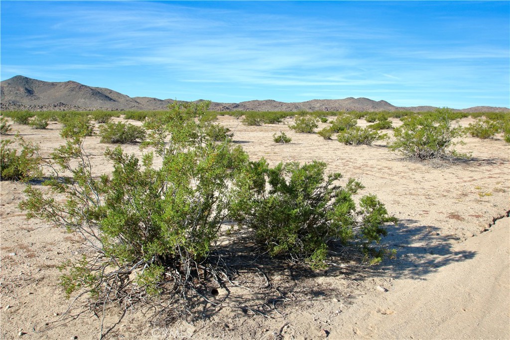 63305 Rainier Road Joshua Tree, CA 92252 - Photo 9 of 20 a view of lake view and mountain