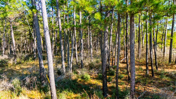 $354,965 | 213 Fm 3459, Onalaska, TX 77360