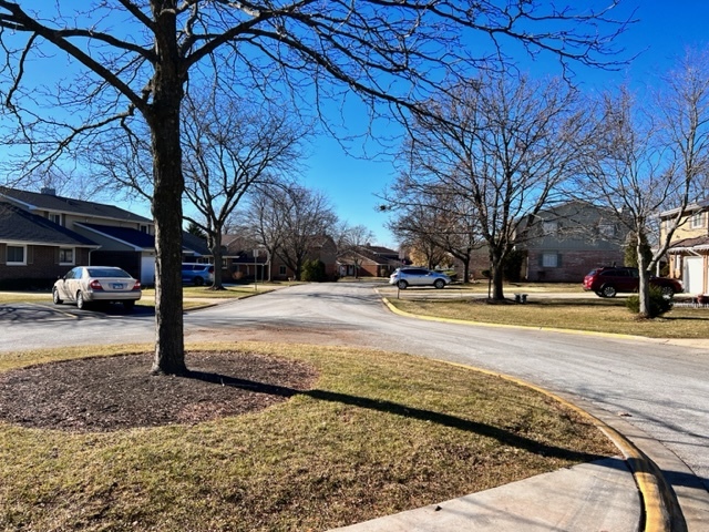 889 Heatherbrook Court Wheaton, IL 60189 - Photo 2 of 24 a view of road with trees