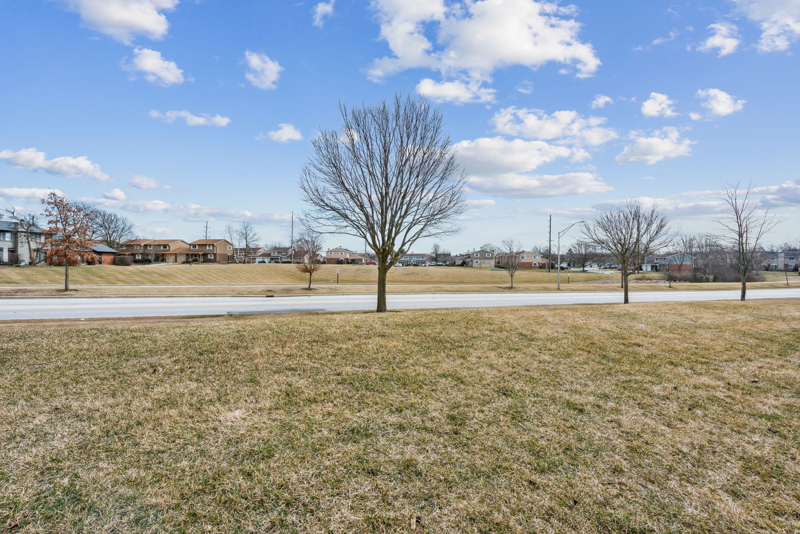 889 Heatherbrook Court Wheaton, IL 60189 - Photo 22 of 24 a view of dirt field with trees