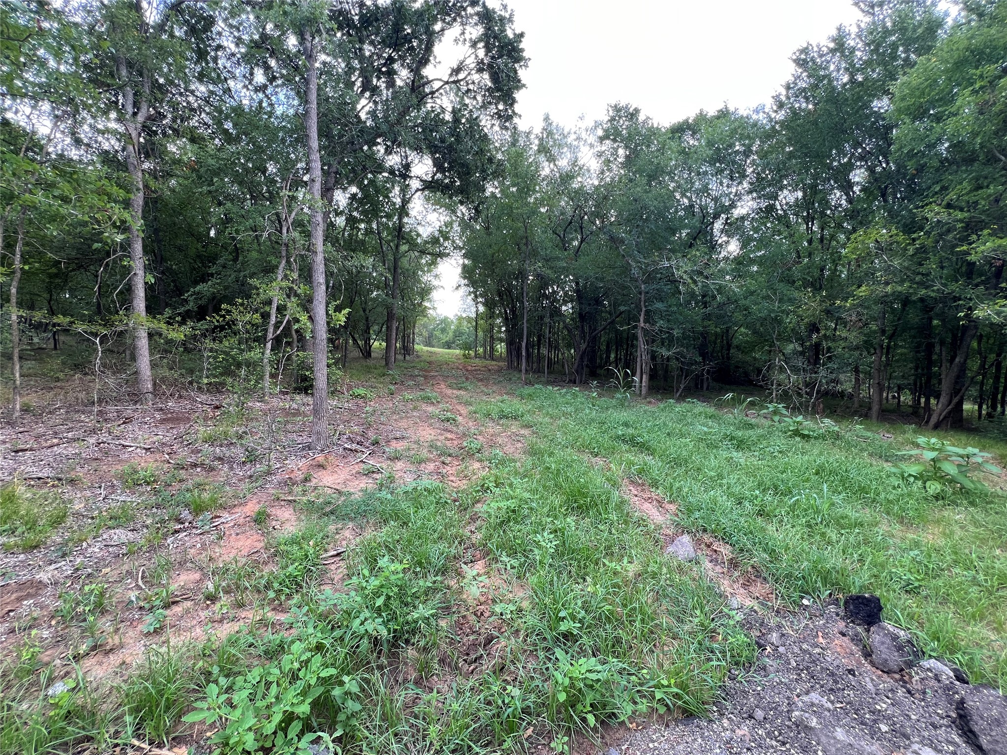 3000 Tract 1 Elgin, TX 78621 - Photo 9 of 18