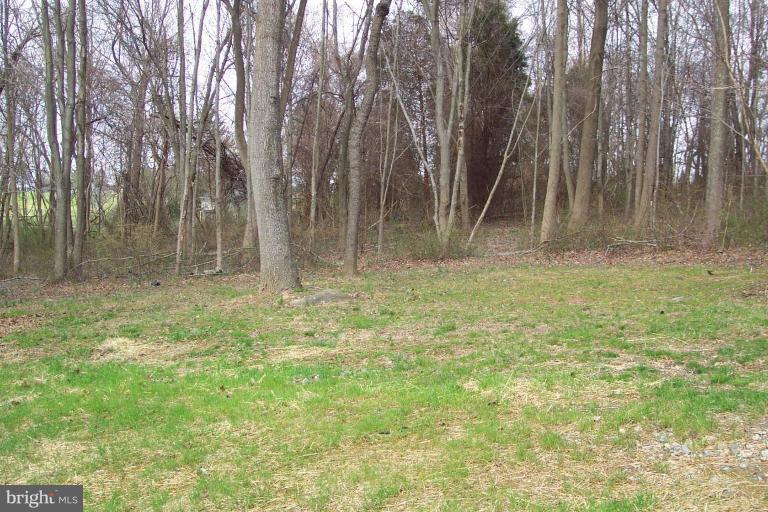 984 Nesbitt Road Colora, MD 21917 - Photo 12 of 12 Exterior #3