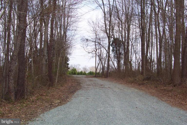 984 Nesbitt Road Colora, MD 21917 - Photo 10 of 12 Wooded View / Acreage