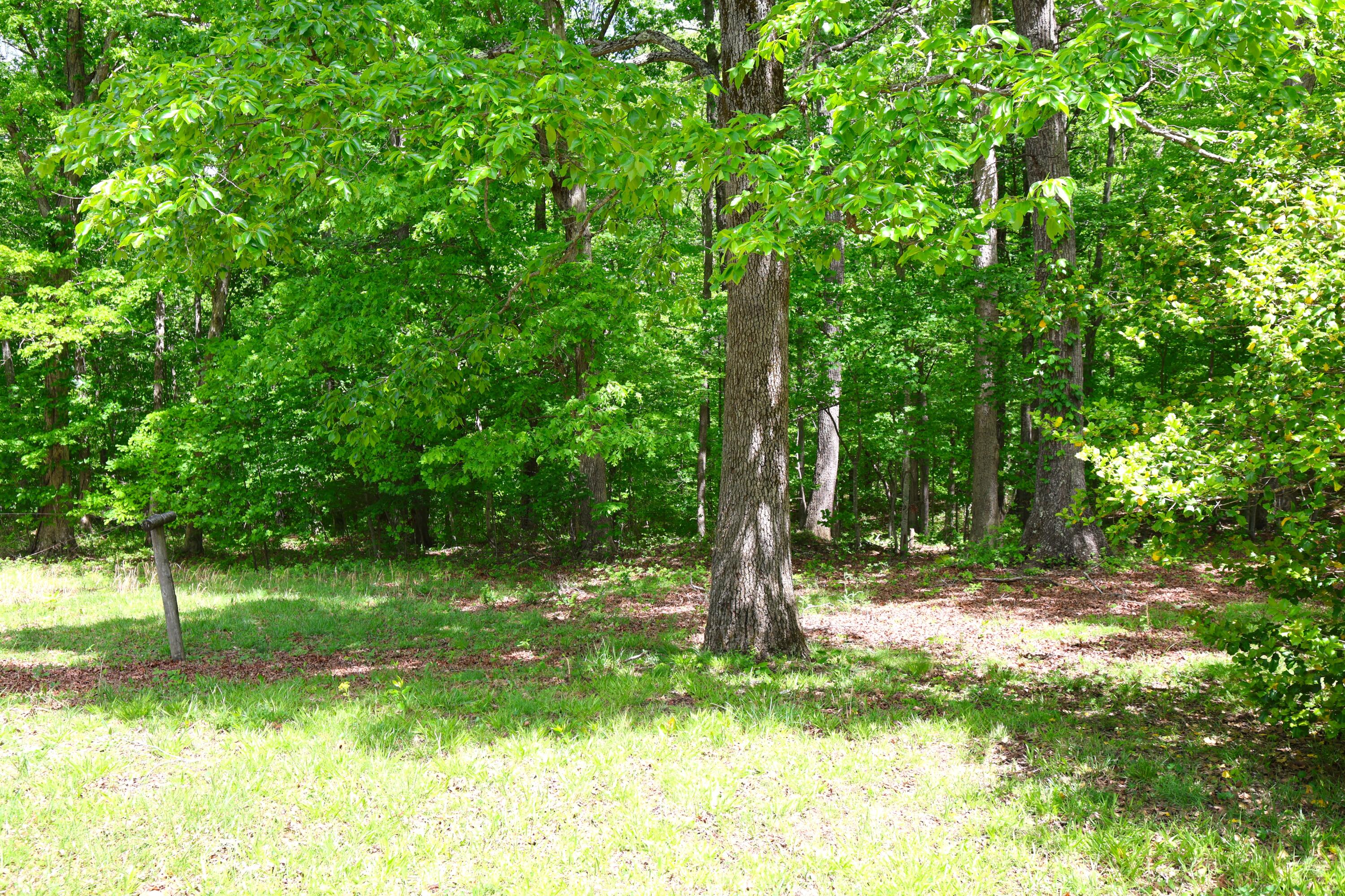 105 Stewart Fork Road Ravenna, KY 40472 - Photo 53 of 59 View of yard behind the house.