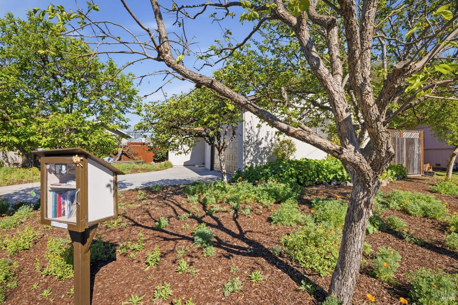 272 Adele Avenue Rohnert Park, CA 94928 - Photo 4 of 41 "Little Free Library"