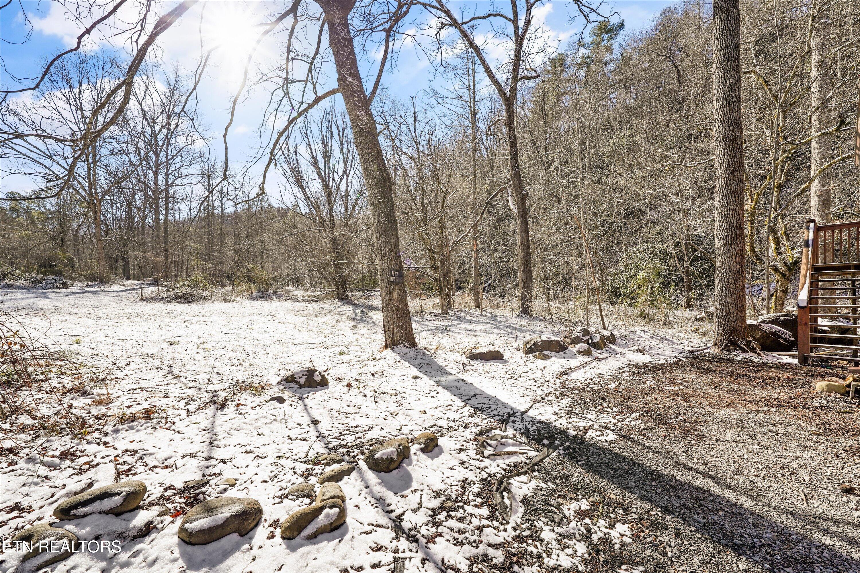 5236 Mathis Branch Road Gatlinburg, TN 37738 - Photo 41 of 50 Beautiful Wooded Scenery