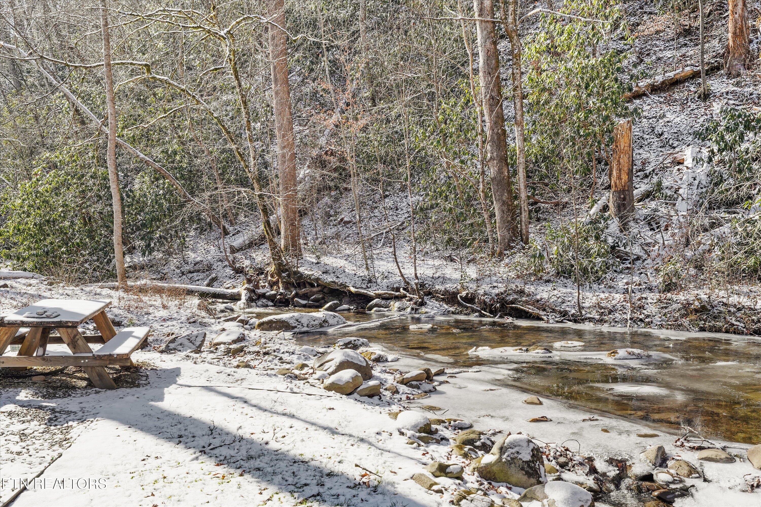 5236 Mathis Branch Road Gatlinburg, TN 37738 - Photo 44 of 50 Creek-side at Rear of Property