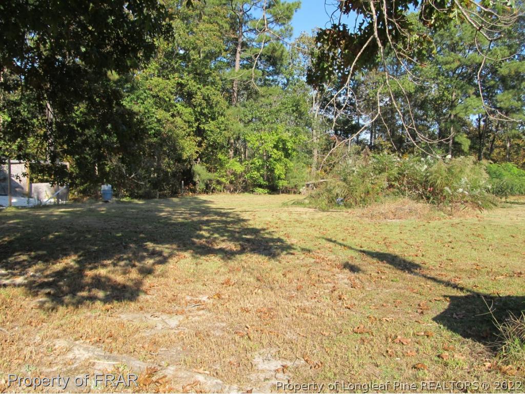 1935 Cameron Road Broadway, NC 27505 - Photo 4 of 11 Gallery Image 4