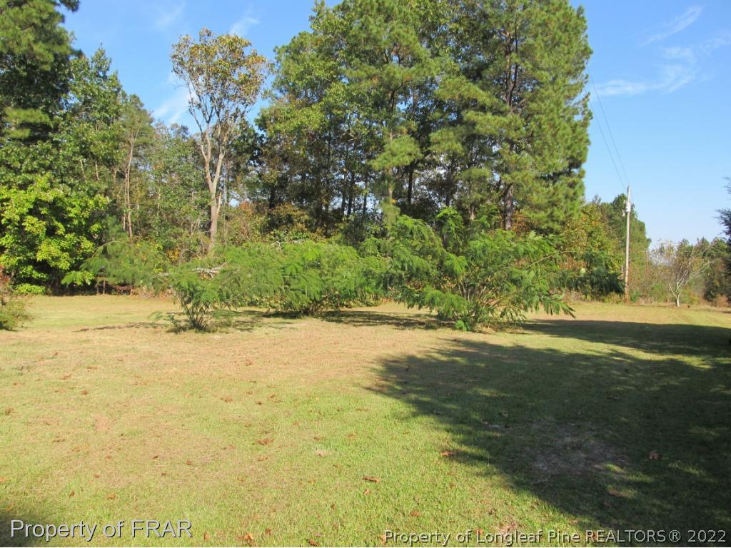 1935 Cameron Road Broadway, NC 27505 - Photo 5 of 11 Gallery Image 5