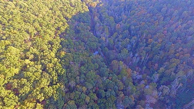 1 Big Run Road Wallingford, KY 41093 - Photo 4 of 15 Photo 4