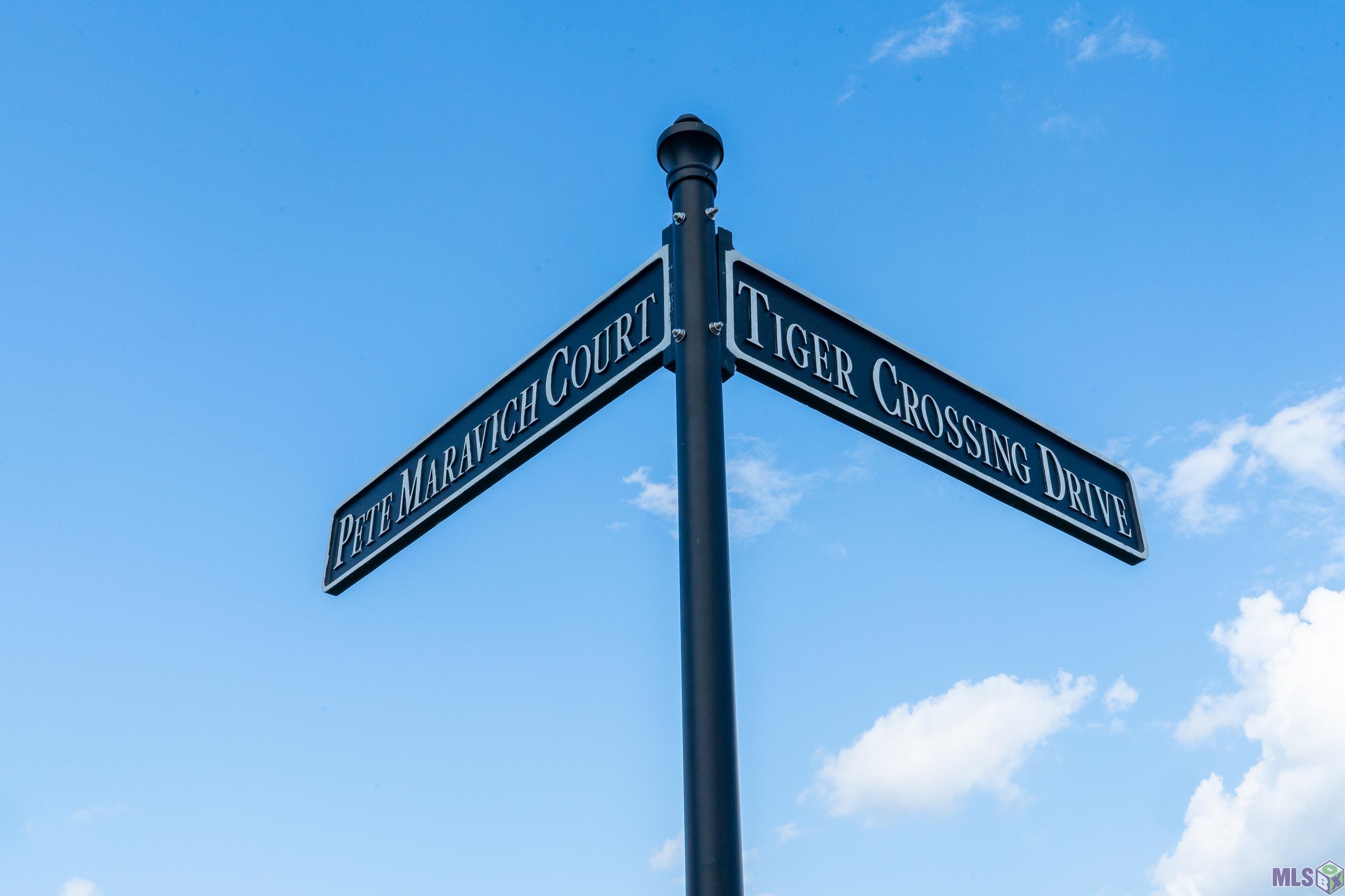 1880 Tiger Crossing Drive Baton Rouge, LA 70810 - Photo 10 of 39