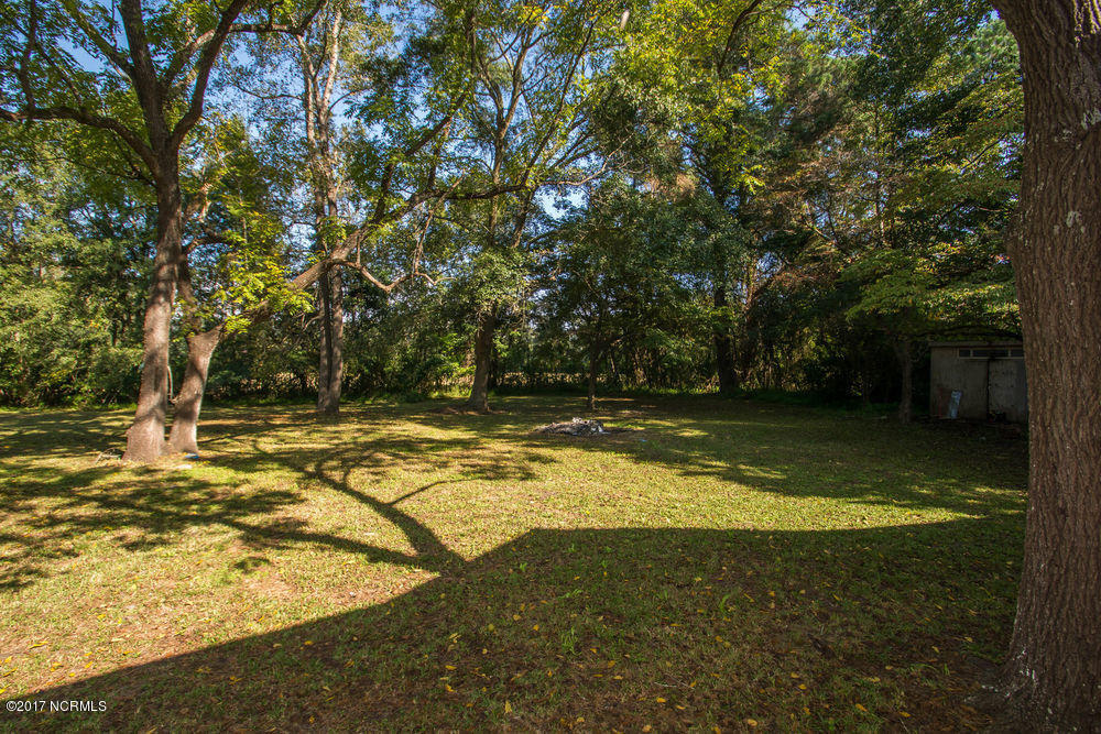 858 Clarks Landing Loop Road Rocky Point, NC 28457 - Photo 31 of 31 _dsc7556