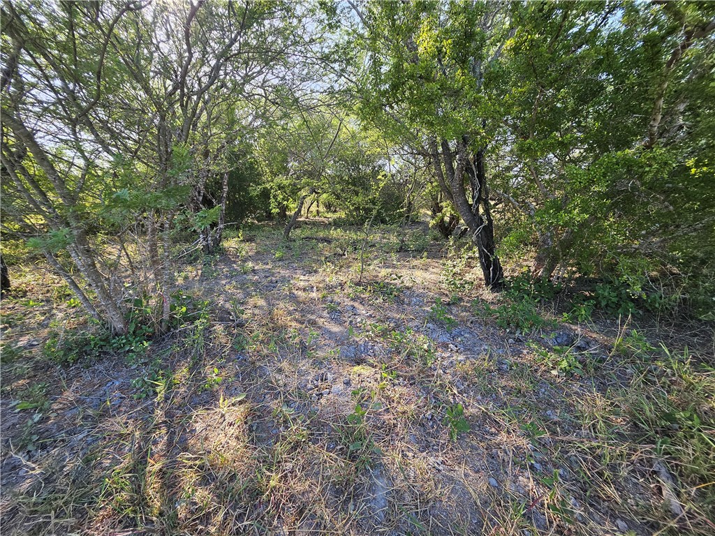 24024 441st Circle Mathis, TX 78368 - Photo 33 of 57 Gallery Image 33