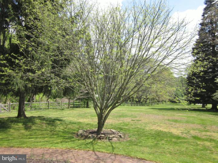 801 Brintons Bridge Road West Chester, PA 19382 - Photo 4 of 25 Front Yard