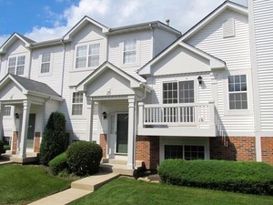 272 Holiday Lane Hainesville, IL 60073 - Photo 1 of 15