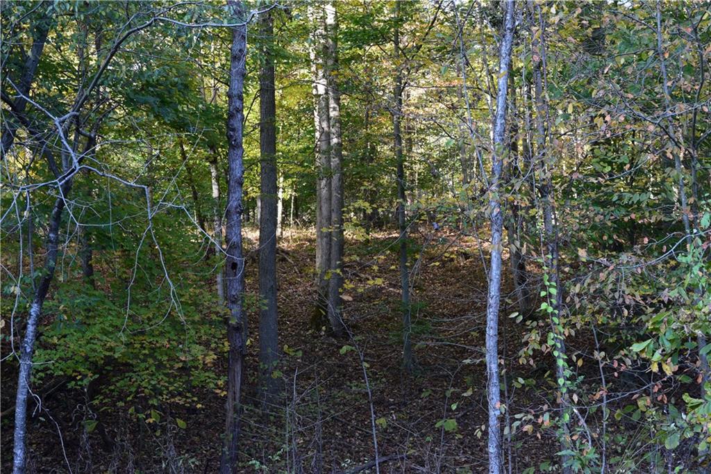 N/a East Stipp Road Bloomington, IN 47401 - Photo 11 of 21