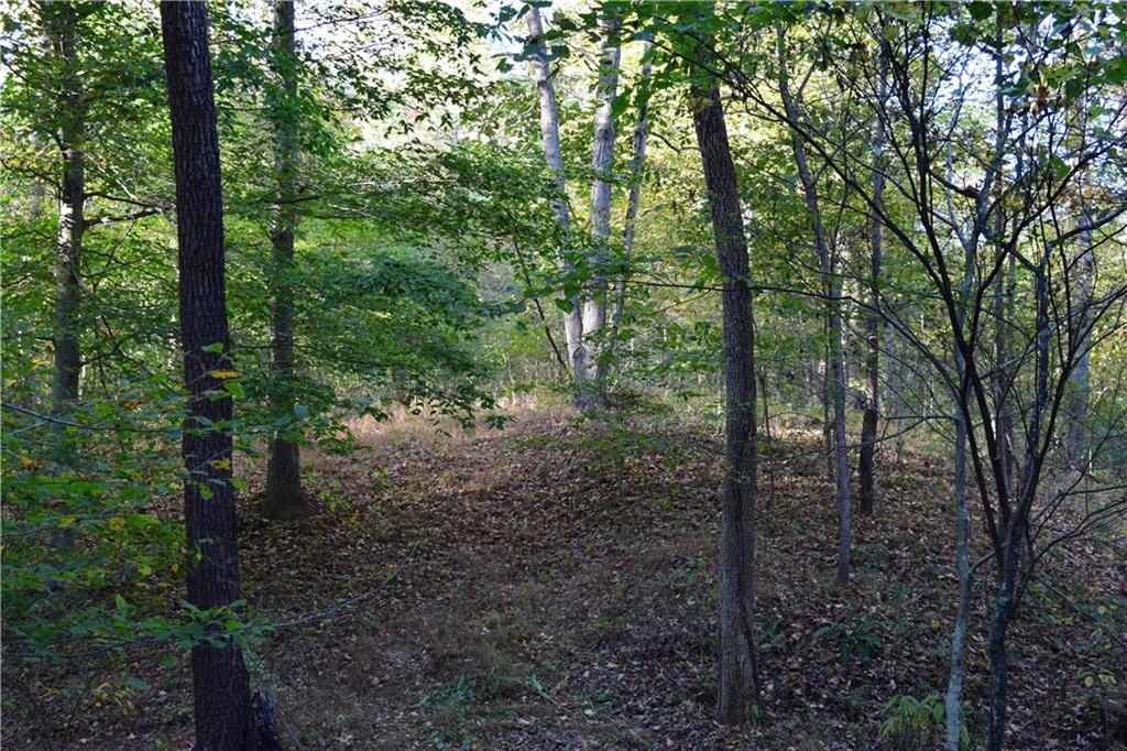 N/a East Stipp Road Bloomington, IN 47401 - Photo 12 of 21