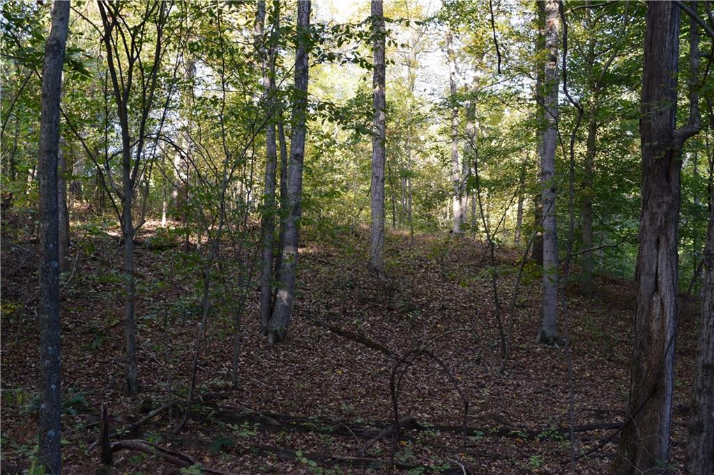 N/a East Stipp Road Bloomington, IN 47401 - Photo 14 of 21