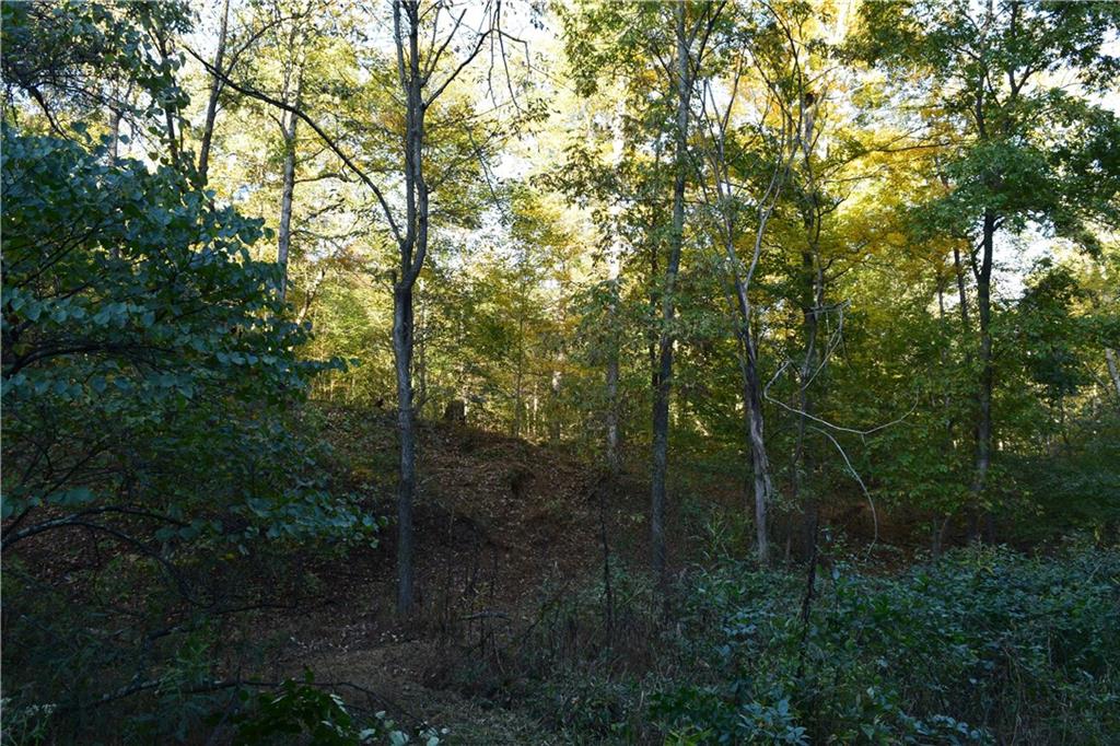 N/a East Stipp Road Bloomington, IN 47401 - Photo 15 of 21