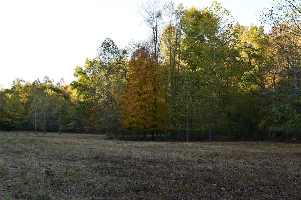 N/a East Stipp Road Bloomington, IN 47401 - Photo 3 of 21