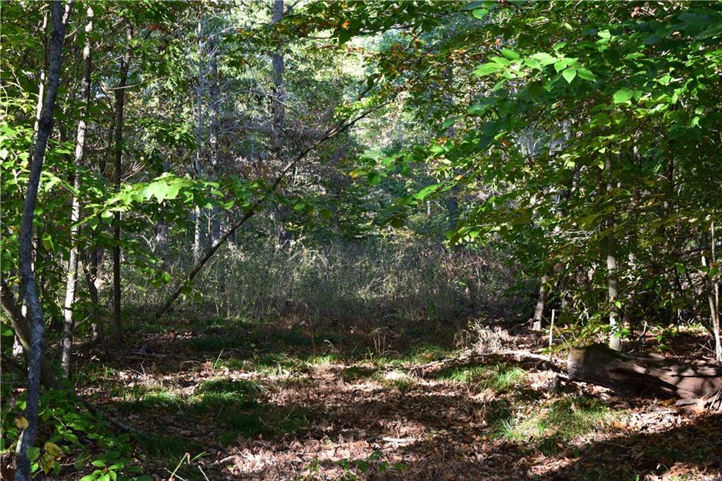 N/a East Stipp Road Bloomington, IN 47401 - Photo 7 of 21