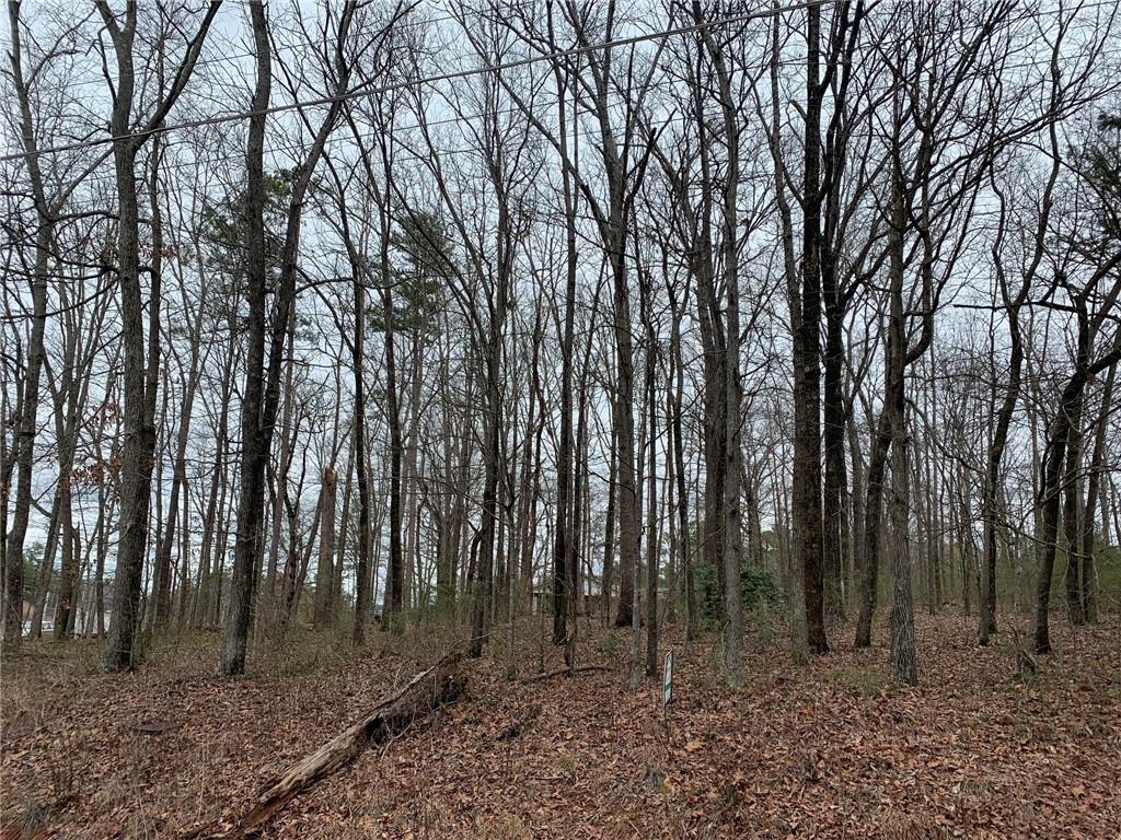 0 Roving Road Cartersville, GA 30121 - Photo 1 of 1 Gallery Image 1