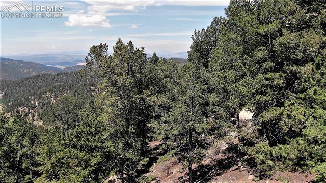 133 Haven Road Divide, CO 80814 - Photo 3 of 6
