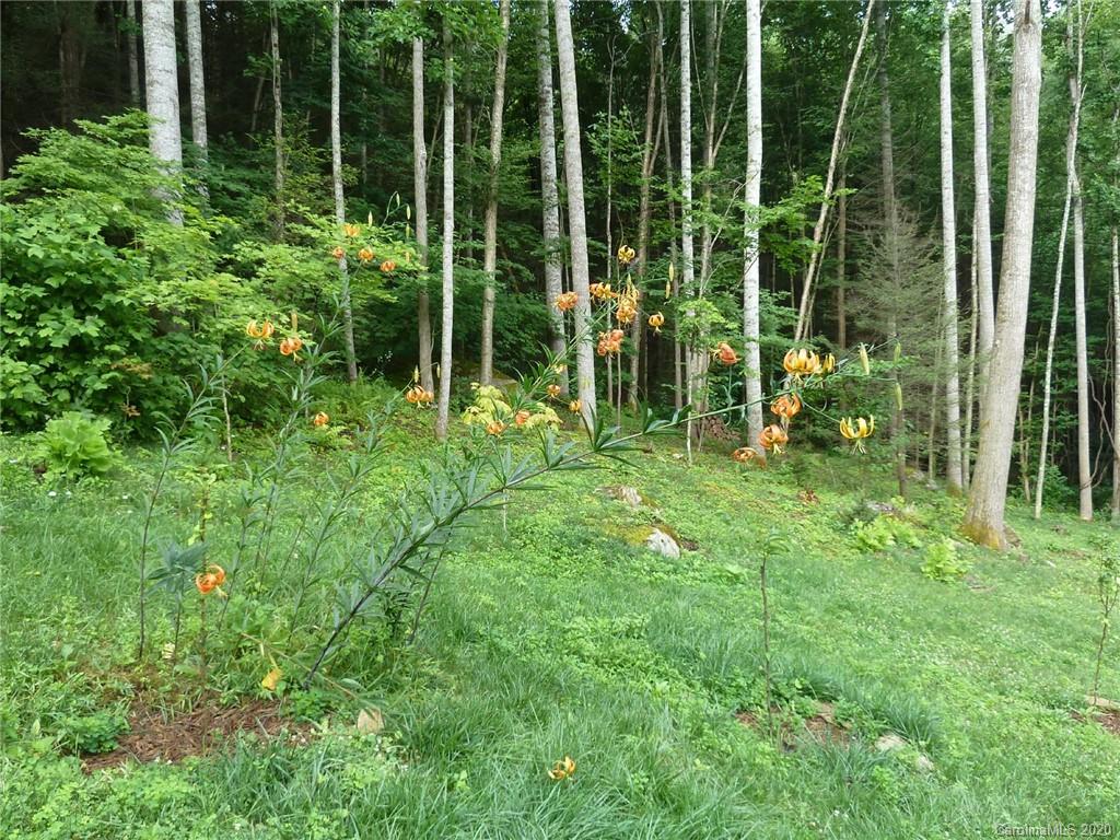 1471 Howard Moore Road Hot Springs, NC 28743 - Photo 42 of 44 Gallery Image 42