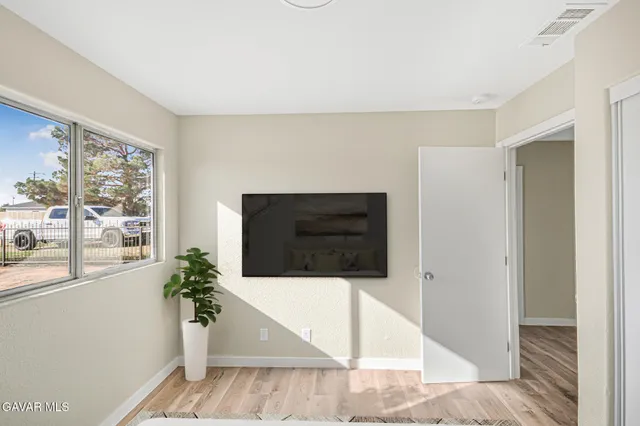 a living room with a potted plant and a large window