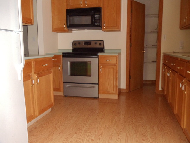 100 Scott Drive, Unit A Dwight, IL 60420 - Photo 3 of 11