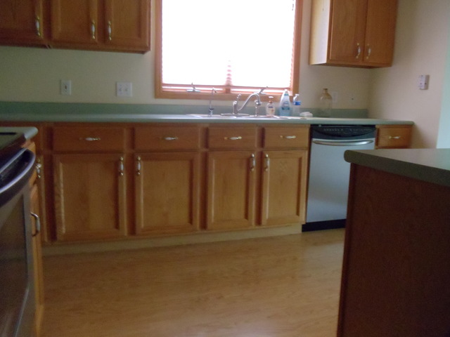 100 Scott Drive, Unit A Dwight, IL 60420 - Photo 4 of 11