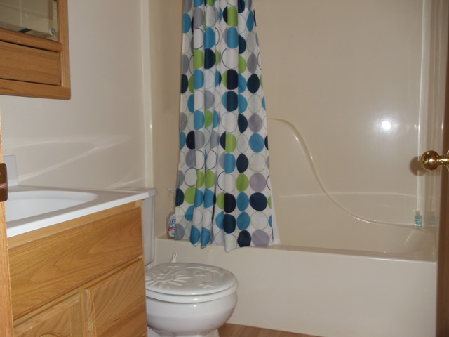 100 Scott Drive, Unit A Dwight, IL 60420 - Photo 10 of 11