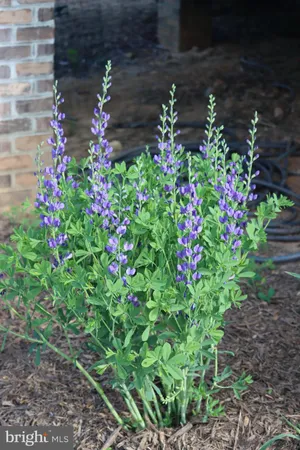 $1,425,000 | 1185 Belle Meade Road, Bumpass, VA 23024