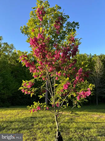 $1,425,000 | 1185 Belle Meade Road, Bumpass, VA 23024