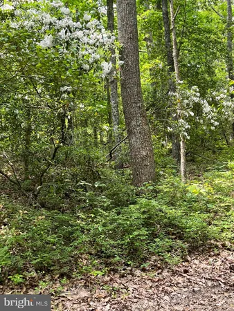 $1,425,000 | 1185 Belle Meade Road, Bumpass, VA 23024
