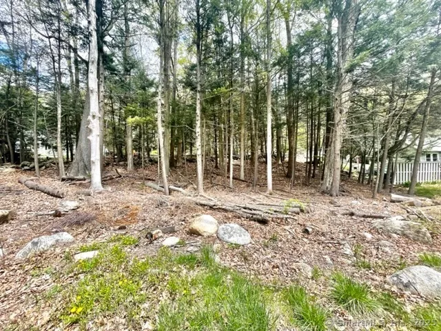 $39,900 | 256 Colebrook Road, Winchester, CT 06098