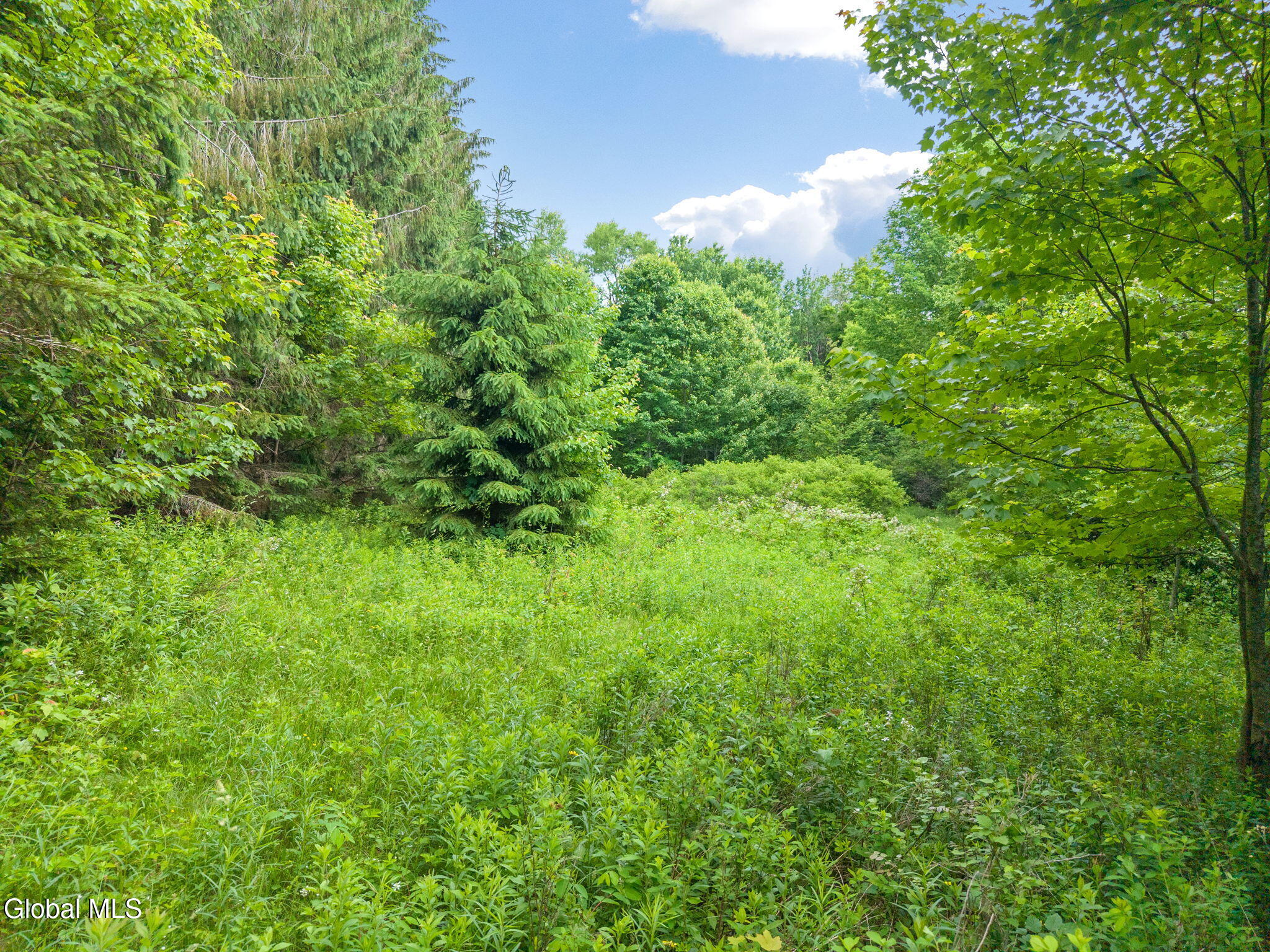 615 Arabia Road Summit, NY 12175 - Photo 45 of 51 45-615ArabiaRd_45