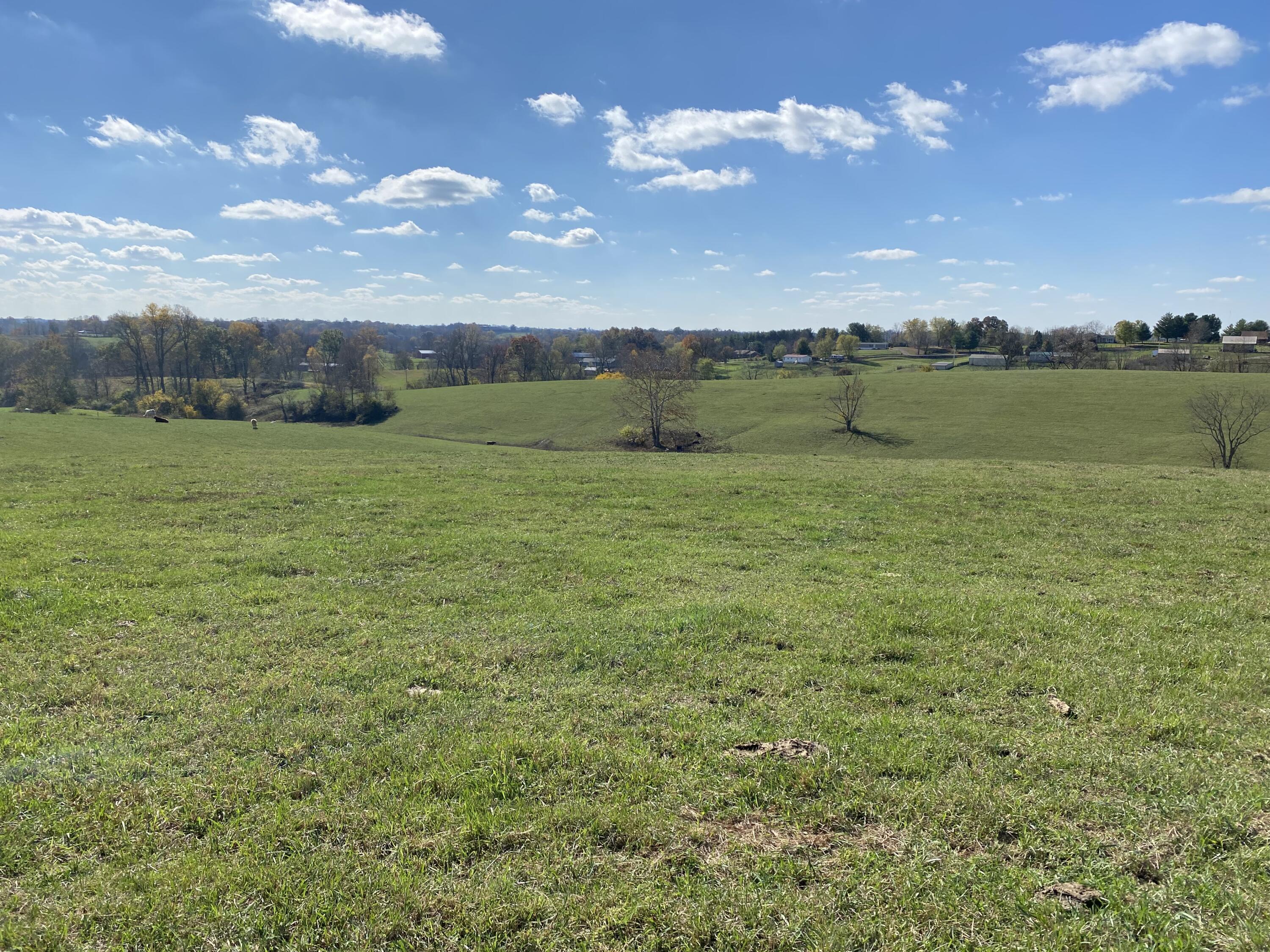 6450 Bybee Road Winchester, KY 40391 - Photo 27 of 56 IMG_9208