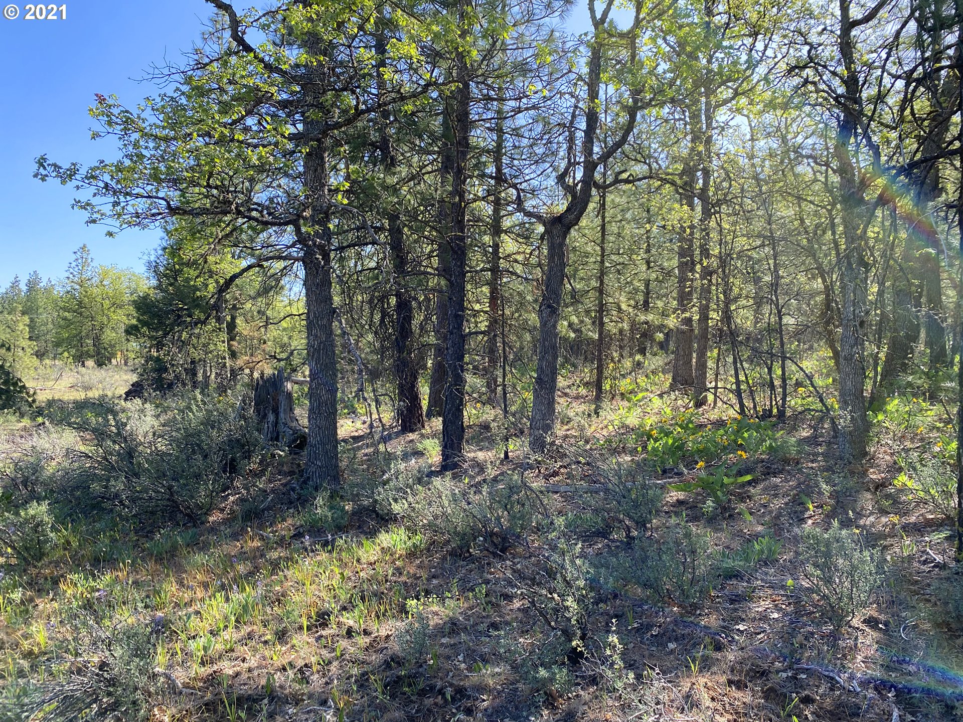 518 Cushman Road Goldendale, WA 98620 - Photo 12 of 14 Gallery Image 12