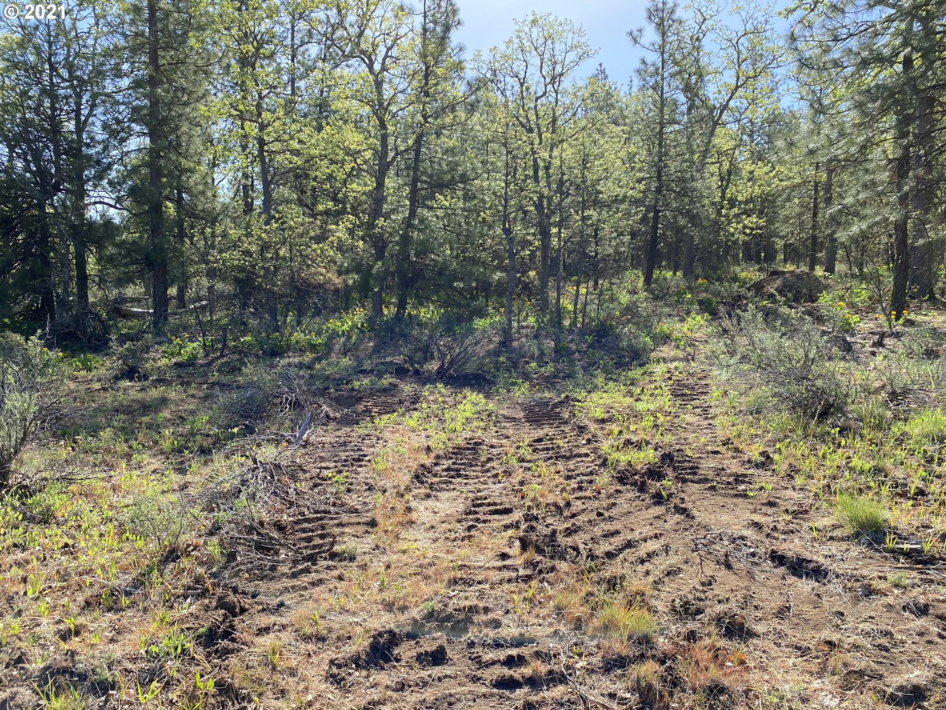 518 Cushman Road Goldendale, WA 98620 - Photo 13 of 14 Gallery Image 13